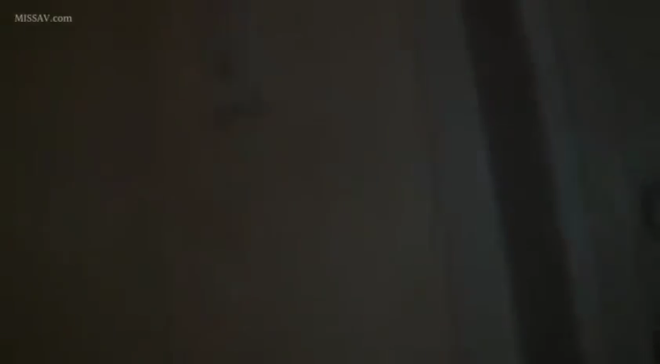 无 · 无 · 无 · 不可见 · 不可见 · 位置不明 · 画面异常模糊，内容缺失