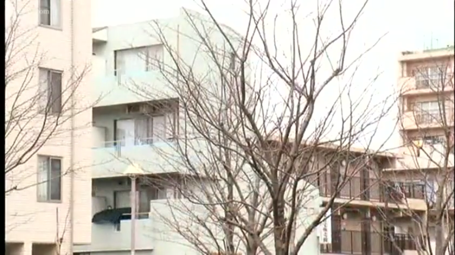 公寓楼群