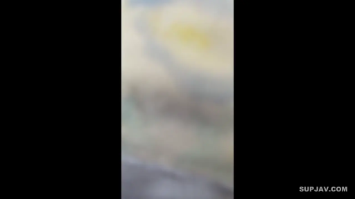 画质模糊 · 无法辨认 · 无法辨认 · 无法辨认 · 无法辨认