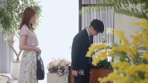 大厅 · 礼貌 · 手提包 · 深色职业西装 · 字幕显示“数日后”