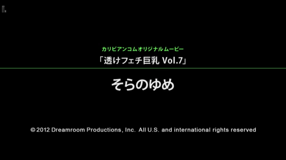2012年制作版权信息
