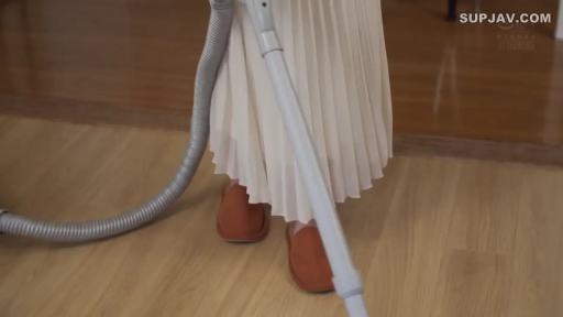 客厅 · 吸尘器 · 棕色家居拖鞋 · 脚部拖鞋