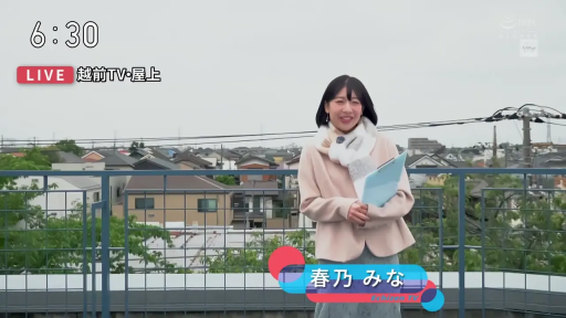 微笑 · 文件夹 · 浅色外套 · 室外 · 人物半身特写 · 电视直播节目画面
