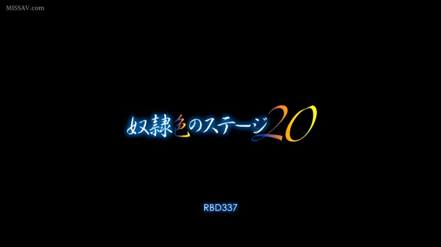 编号RBD337