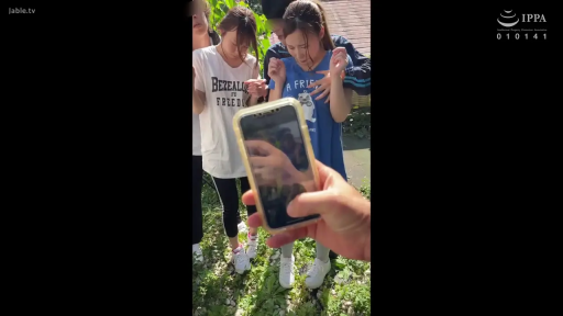 草地 · 无助 · 智能手机 · 短袖T恤 · POV拍摄视角 · 手机屏幕视角