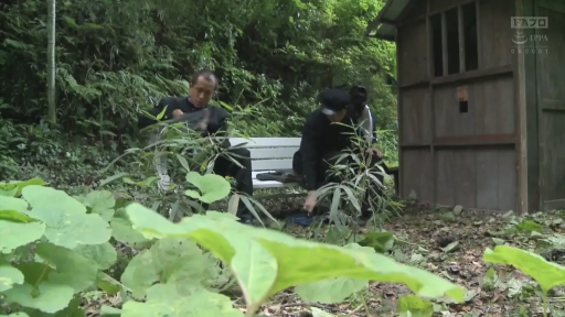 坐姿 · 专注 · 全景 · 学生制服 · 剧情 · 交流 · 户外 · 长椅