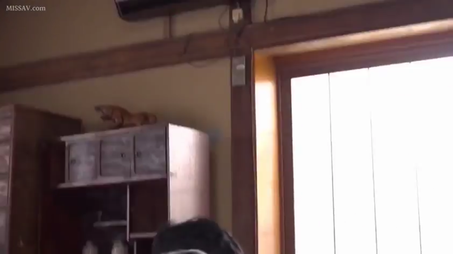 室内 · 未见服装