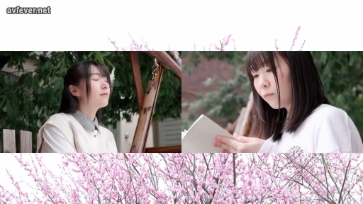 平静 · 脸部特写 · 米色针织背心 · 樱花树下 · 书 · 樱花背景