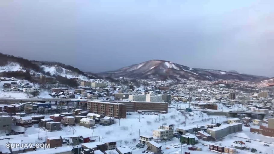 日本城镇 · 积雪