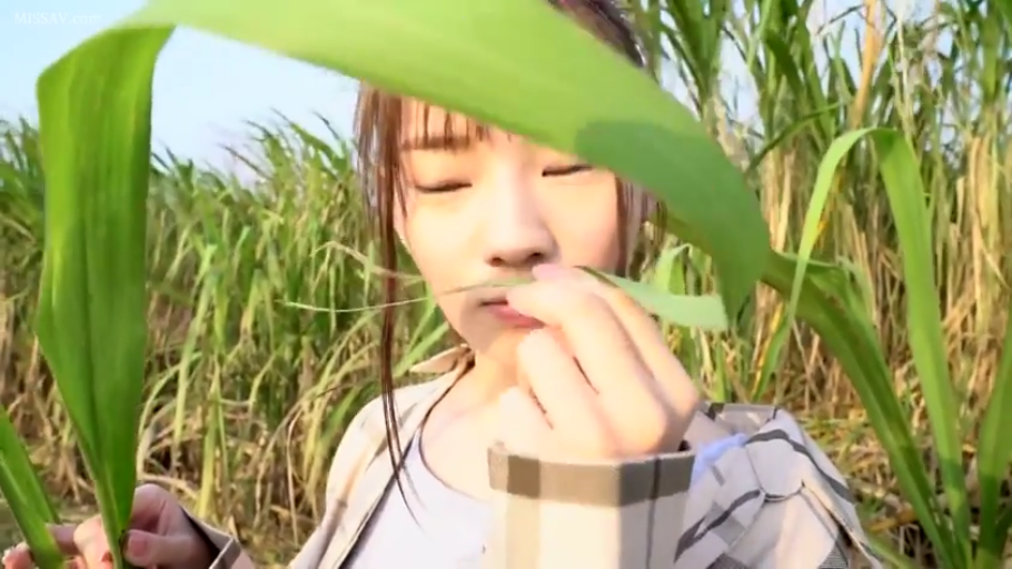 格子衬衫 · 脸部特写 · 站立 · 平静 · 自然光 · 户外田野 · 拿叶子 · 植物叶子