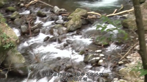 全景 · 野外 · 自然风景