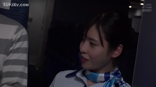 坐姿 · 交谈 · 脸部特写 · 微笑 · 职场 · 丝巾 · 空姐制服 · 飞机机舱