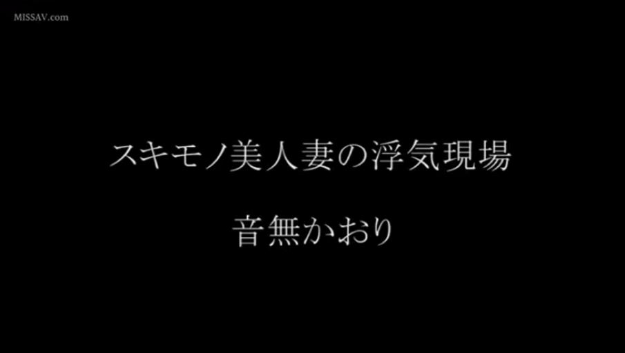 无画面内容
