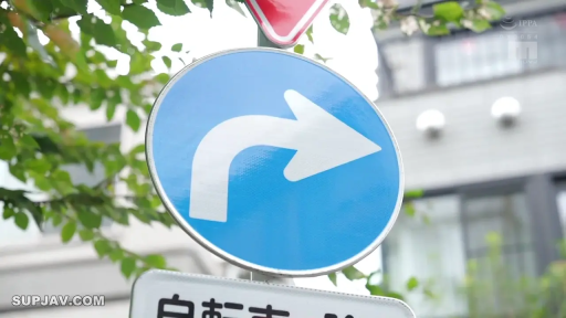 户外街道 · 交通标志特写