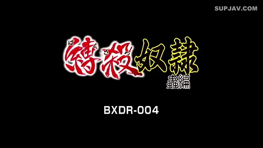 未知 · BXDR-004标题画面