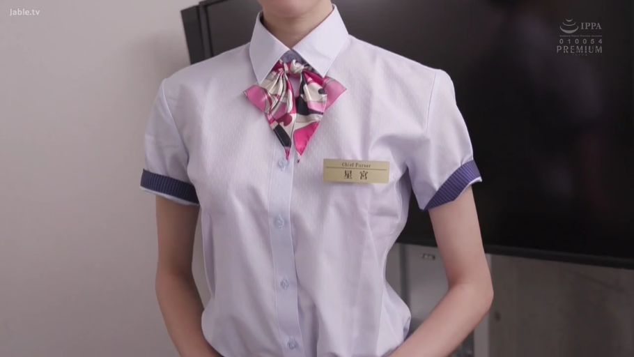 室内 · 站立 · 躯干特写 · 制服诱惑 · 静态 · 胸牌 · 乘务员制服