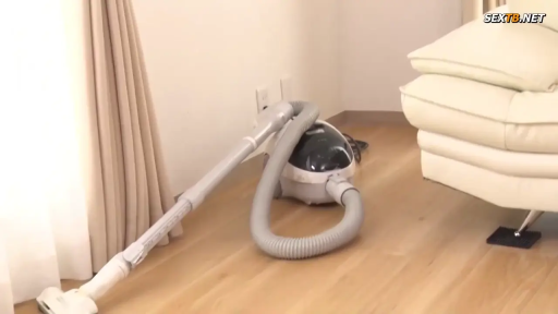 客厅 · 吸尘器 · 吸尘器主机与管道