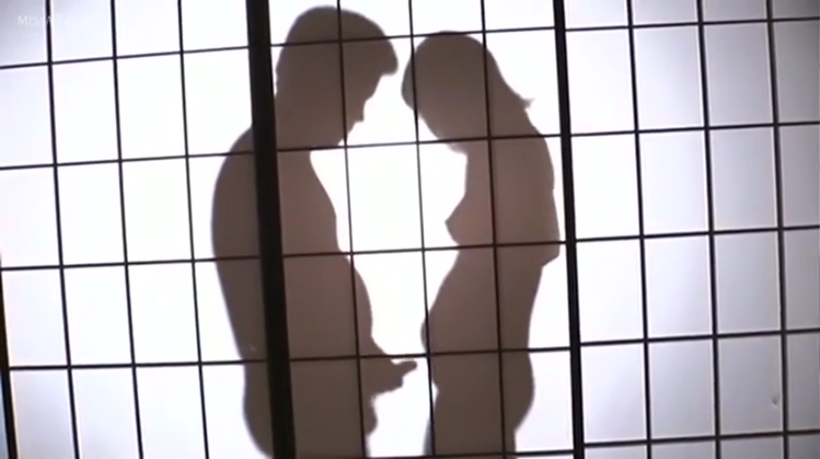 Japanese-style room · Fully nude · Standing Posture · 背光照明 · 纸质拉门 · 两人上半身轮廓