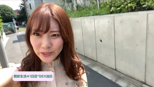 自然 · 室外街道 · 人物面部特写 · 米色无袖上衣 · 文字标签标注禁欲41天