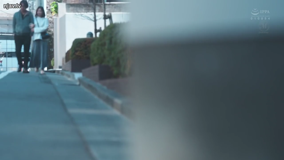 平静 · 休闲装 · 远景 · 散步 · 偷拍视角 · 户外街道 · 单肩包 · 挽手行走