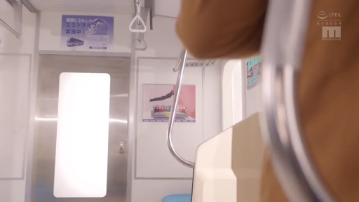 日本地铁 · 地铁拉环 · IPPA标记 · 地铁内景