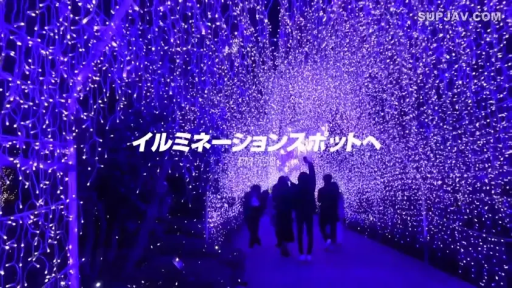 远景 · 行走 · 风景 · 冬装 · 彩灯 · 灯光隧道 · 观光