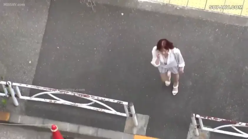 白い上着 · 街道 · 自然状态 · 路障