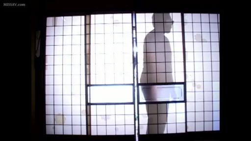 和室 · 不可见 · 高对比度剪影 · 人物剪影 · 裸体或内衣剪影 · 日式格子门