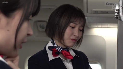 脸部特写 · 站立 · 空姐制服 · 飞机机舱