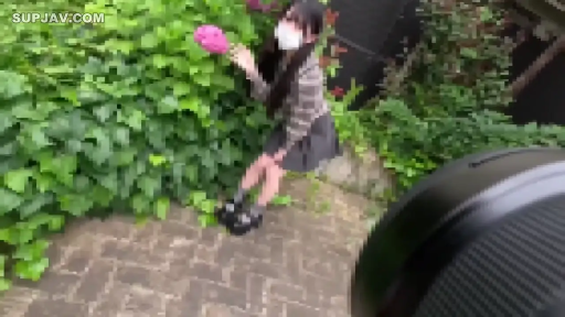 头部 · 草丛 · 粉色圆球状物体 · 遮挡 · 黑色鞋