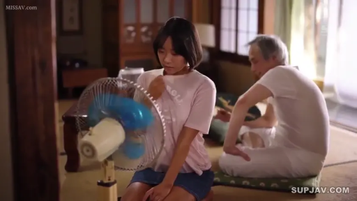 坐姿 · 和室 · 中景 · 自然 · 电风扇 · T恤 · 老少配 · 吹风扇