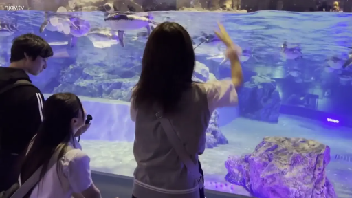 休闲上衣 · 水族馆 · 拍摄设备 · 室内灯光偏蓝