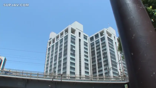 城市 · 蓝天
