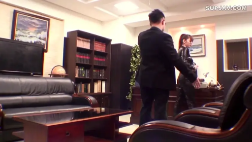 严肃 · 办公室 · 站立 · 全景 · 对峙 · 西装与紧身皮衣 · 书架与沙发