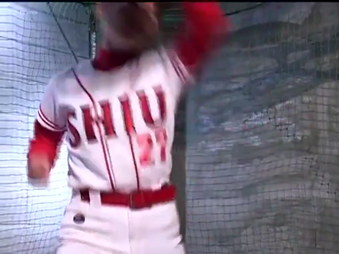 模糊 · 动态模糊 · 棒球服 · 球网 · 运动姿态 · 室内练习场 · 挥动