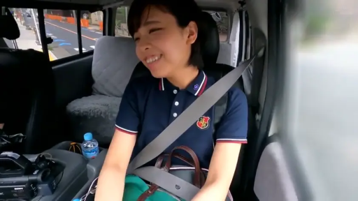 扭捏 · 摄像机 · 人物面部特写 · 汽车内 · 深蓝色POLO衫 · 车窗外景色模糊