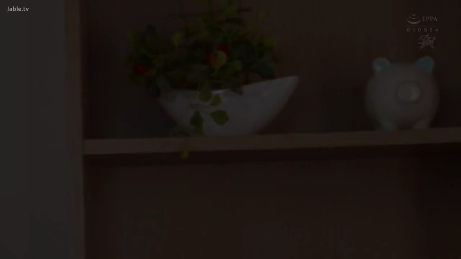 室内 · 盆栽 · 物品特写