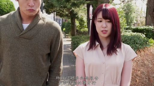 认真 · Chinese subtitles · 公园附近 · 人物半身像 · 男性穿深棕色毛衣