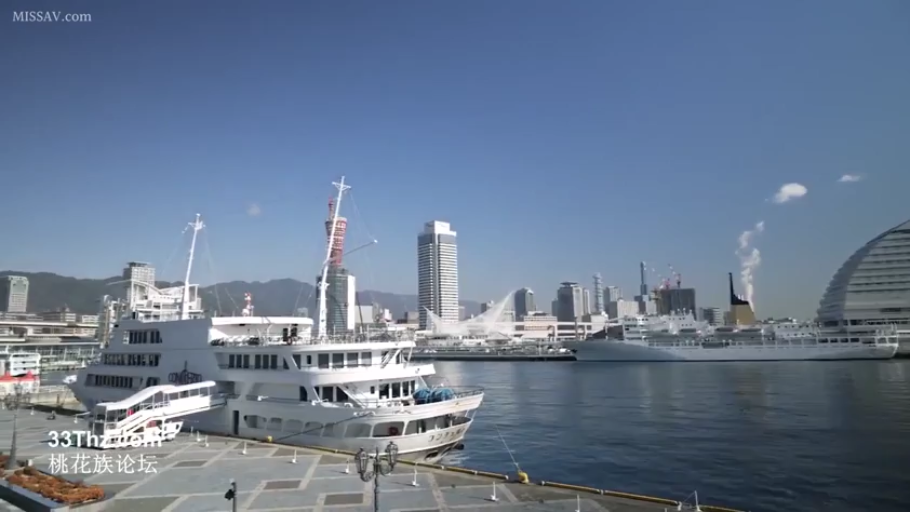 蓝天 · 港口 · 游轮