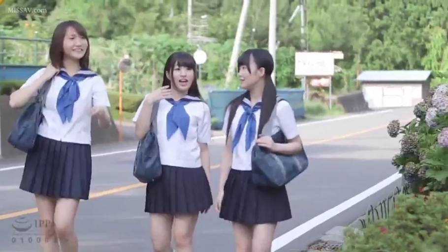交谈 · 马路 · 路边花丛 · 深色百褶裙 · 制服书包