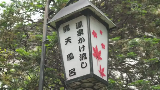 灯笼 · 温泉 · 风景 · 灯笼特写