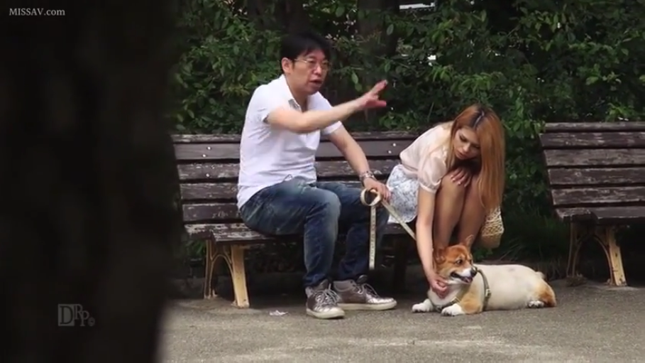 坐姿 · 全景 · 自然 · 休闲服 · 公园 · 白天 · 长椅 · 遛狗