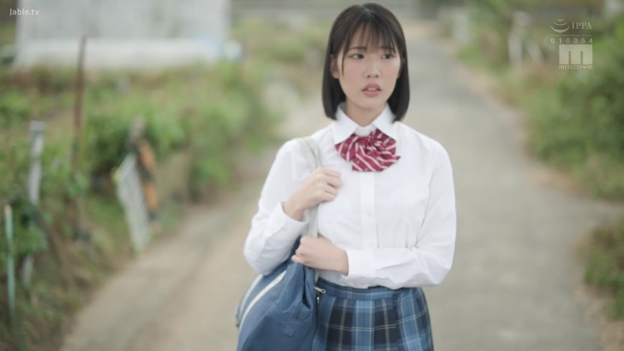 脸部特写 · 蓝色格子百褶裙 · 书包 · 田野间小路 · 清纯