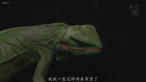 室内 · 字幕 · 蜥蜴头部特写 · 塑料模型