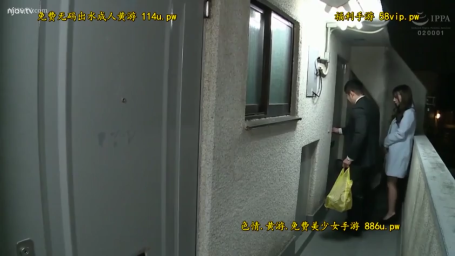 站立 · 自然 · 远景 · 大衣 · 公寓走廊 · 夜晚 · 塑料袋 · 准备进门