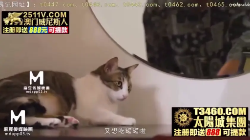 室内 · 警觉 · 猫脸特写 · 画中画水印