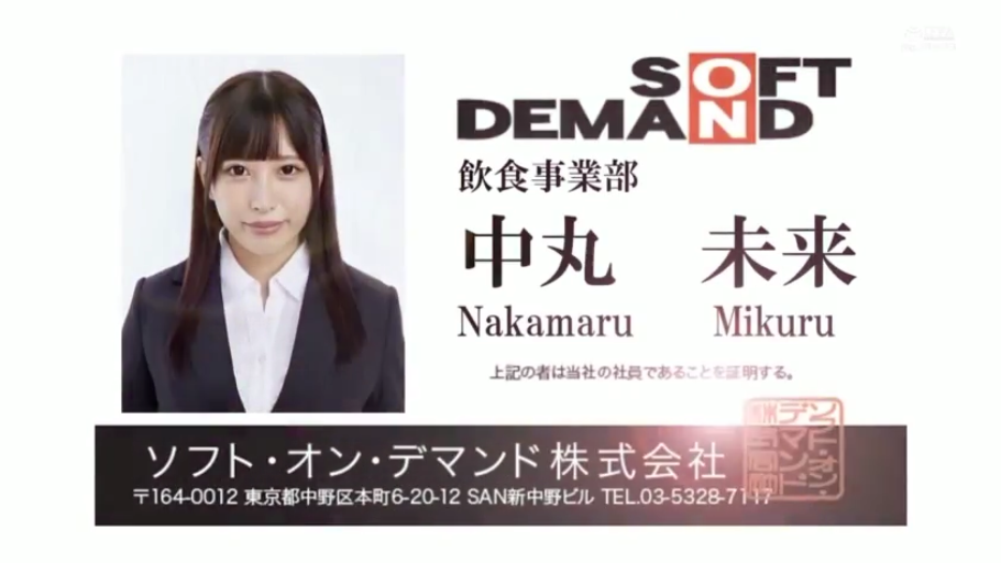 职业微笑 · 无特定地点 · Soft On Demand公司标识 · 人物头部特写 · 职业装，白衬衫，深色西装外套 · 员工证明文件排版