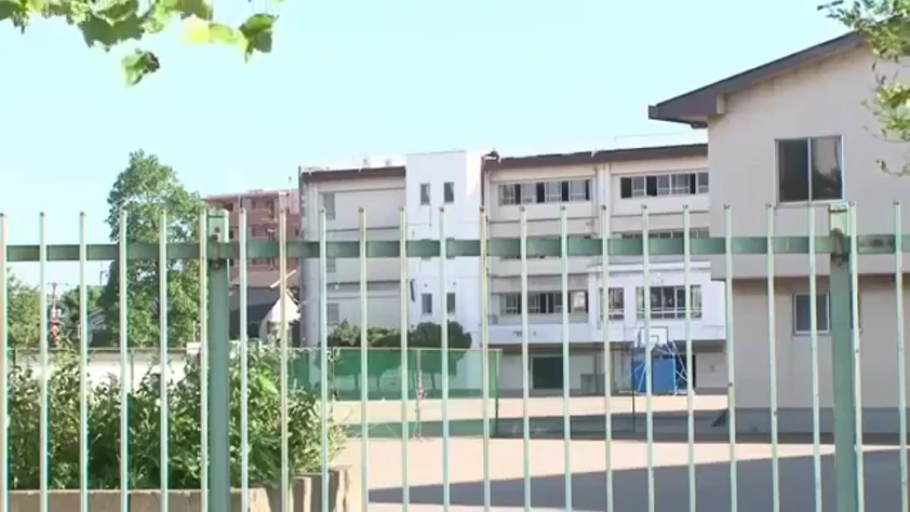 学校 · 阳光充足