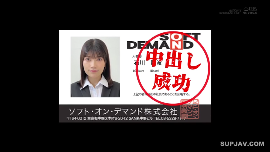 职业西装 · 职业微笑 · 员工证 · 证件照特写 · Soft Demand标志