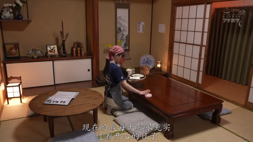 平静 · 旅馆房间 · 围裙 · 头部侧面 · 抹布 · 画面有中文字幕